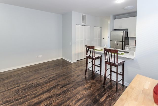 1153 W Washburne Avenue 301, Chicago, IL 60608