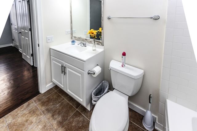 1153 W Washburne Avenue 301, Chicago, IL 60608