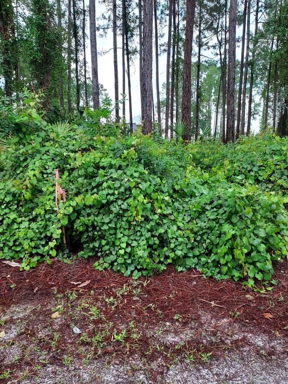 116 Royal Tern Way, Carrabelle, FL 32322