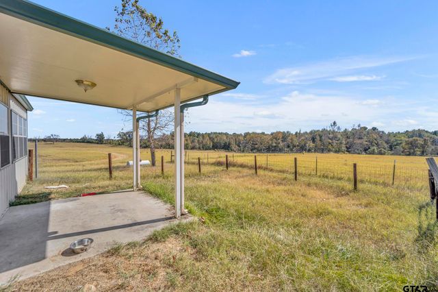 19316 Spillway Rd, Winona, TX 75792