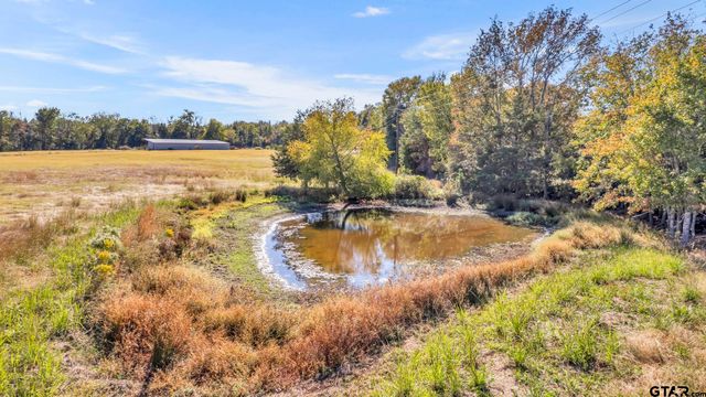 19316 Spillway Rd, Winona, TX 75792