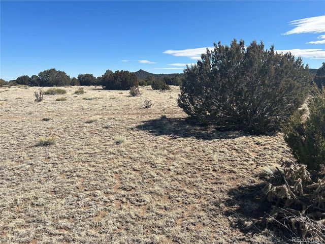 241 Greenhorn Village Ln, Walsenburg, CO 81089