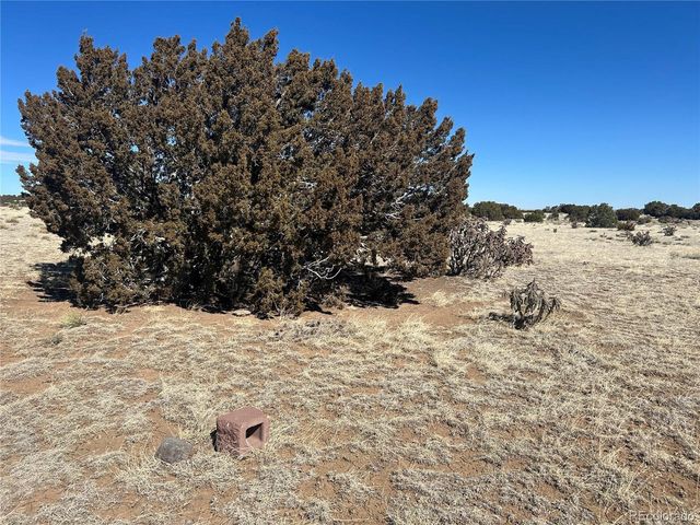 241 Greenhorn Village Ln, Walsenburg, CO 81089