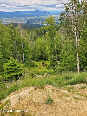 NKA Mellick Rd, Post Falls, ID 83854