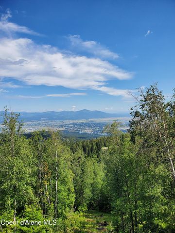 NKA Mellick Rd, Post Falls, ID 83854