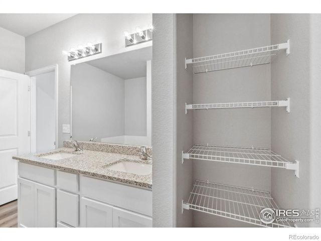 967 Cascade Falls Street, Severance, CO 80550