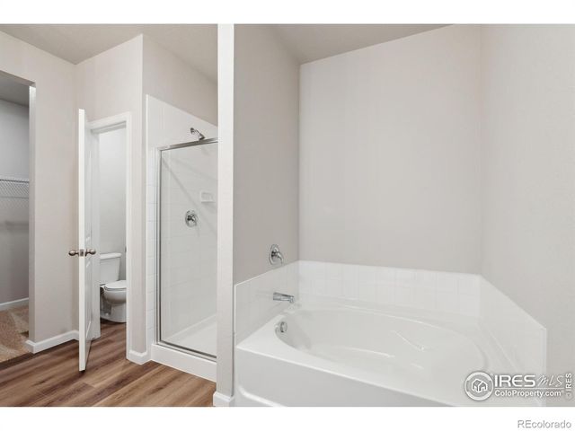 967 Cascade Falls Street, Severance, CO 80550