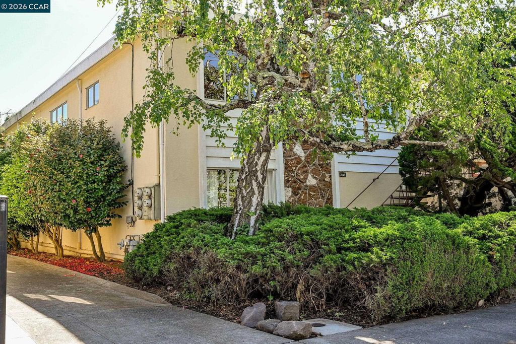 3037 College Ave, Berkeley, CA 94705