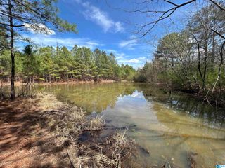 7510 SPRINGER ROAD, Mccalla, AL 35111