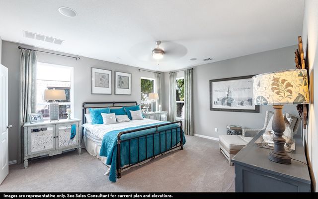 16712 Nicole Drive, Celina, TX 75009