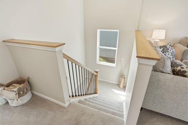 13143 Rutledge Place, Crown Point, IN 46307