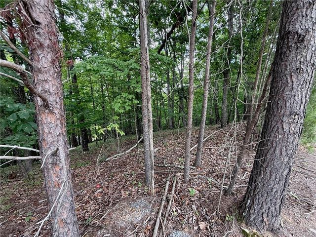 LOT 7 Stirratt Road, Ranger, GA 30734