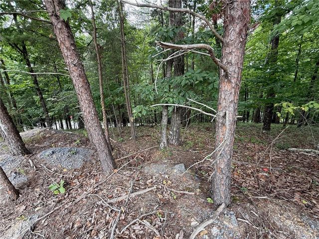 LOT 7 Stirratt Road, Ranger, GA 30734