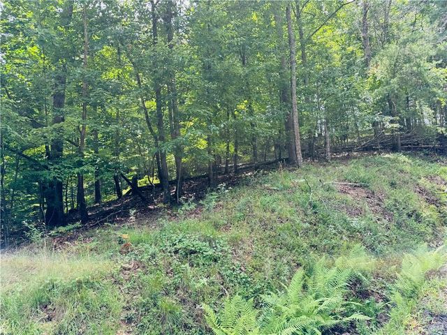 LOT 7 Stirratt Road, Ranger, GA 30734