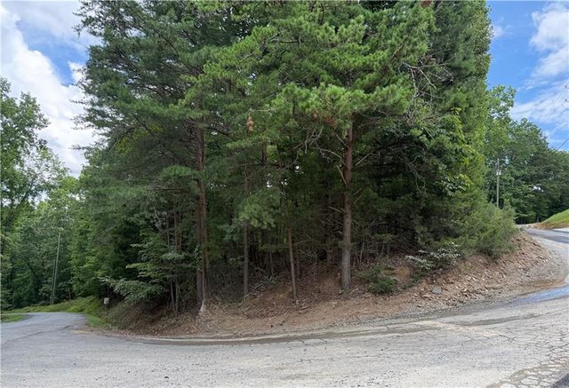 LOT 7 Stirratt Road, Ranger, GA 30734