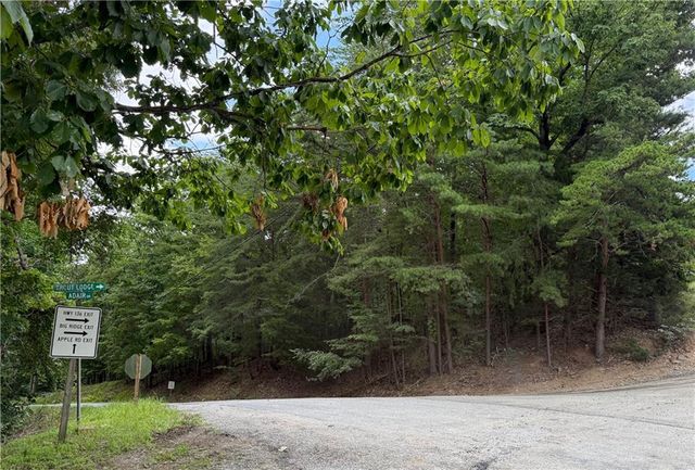 LOT 7 Stirratt Road, Ranger, GA 30734