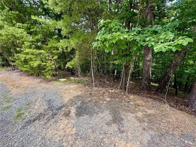 LOT 7 Stirratt Road, Ranger, GA 30734