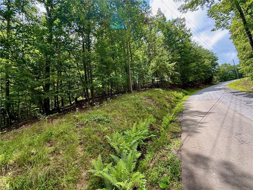 LOT 7 Stirratt Road, Ranger, GA 30734