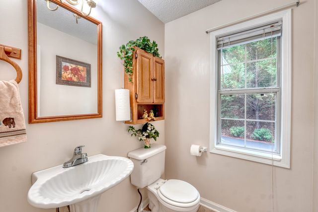 549 Cook Mountain Drive, Blairsville, GA 30512
