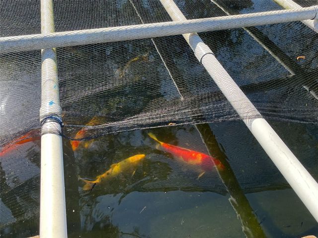 18011 Trellis Estates Court, Cypress, TX 77429