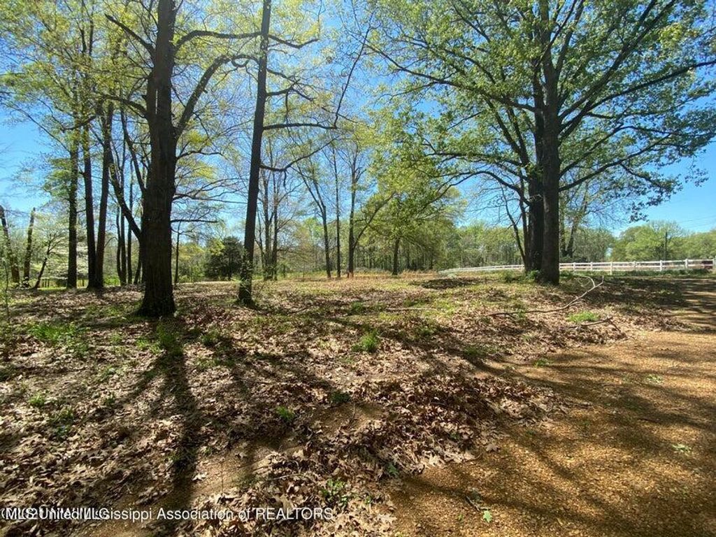 568 S Laughter Road, Hernando, MS 38632 — photo 2