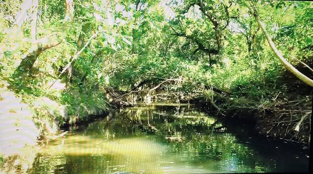 3325 Creek Road, Keller, TX 76248