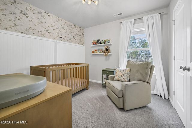 146 Plumtree Lane, Castle Hayne, NC 28429