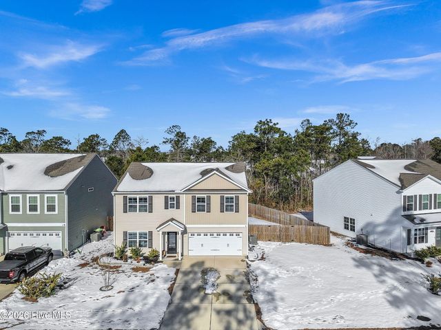 146 Plumtree Lane, Castle Hayne, NC 28429