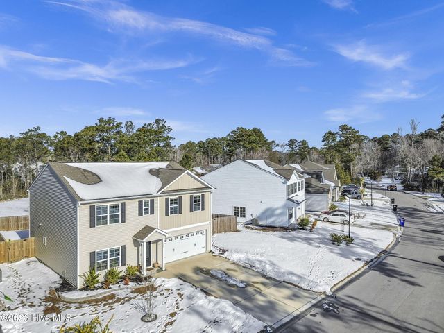 146 Plumtree Lane, Castle Hayne, NC 28429