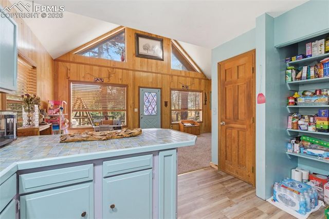 799 Canyon Drive, Guffey, CO 80820