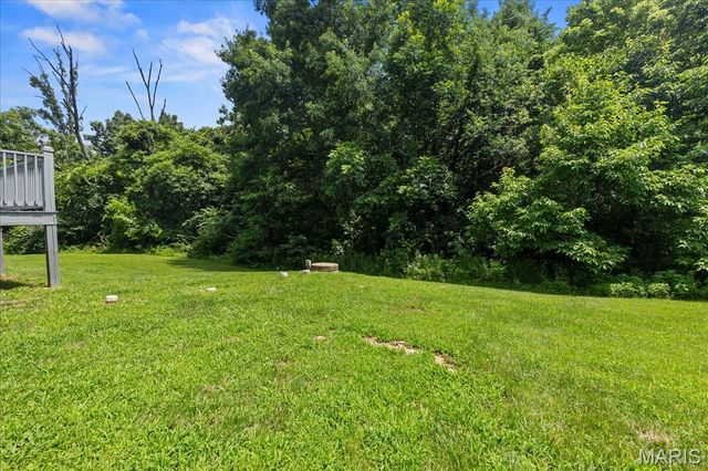 165 Widgeon Lane, Foley, MO 63347