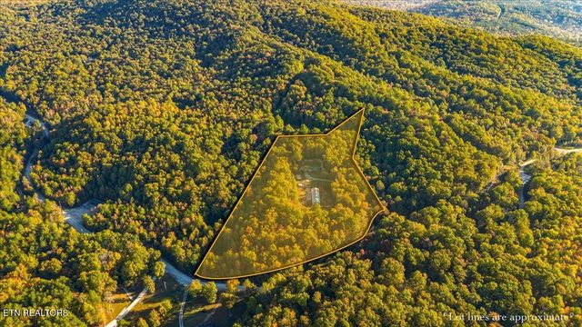 2579 Campground Rd, Sunbright, TN 37872