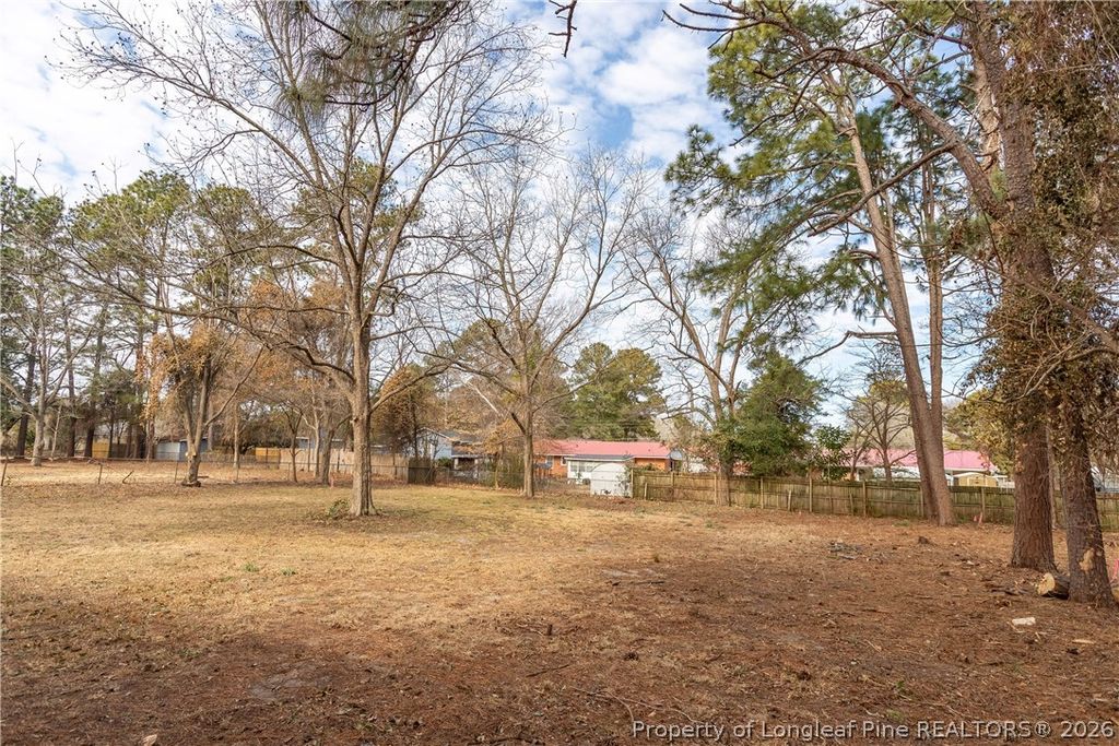 228 Odell Road, Spring Lake, NC 28390 — photo 13