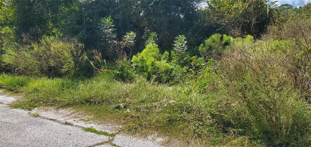 SEBRING COURT, Poinciana, FL 34759