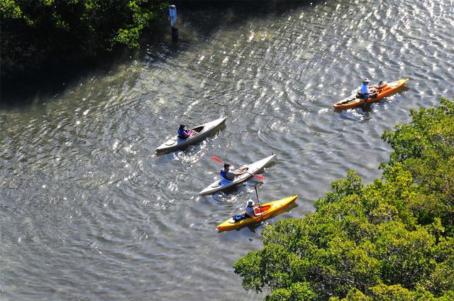 5260 HERON WAY 202, Sarasota, FL 34231