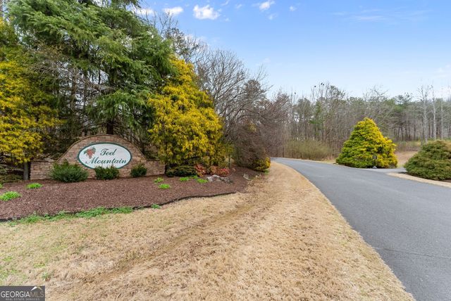 24 Teel Mountain Drive, Cleveland, GA 30528
