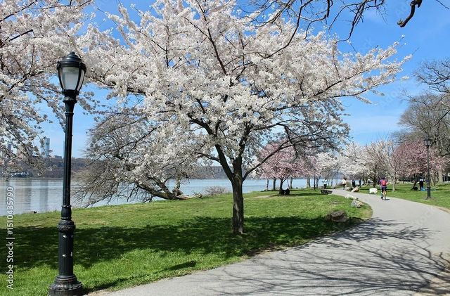 425 Riverside Dr Apt 6J, New York City, NY 10025