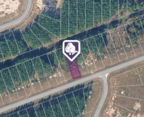 1369 Road 5890, Cleveland, TX 77327