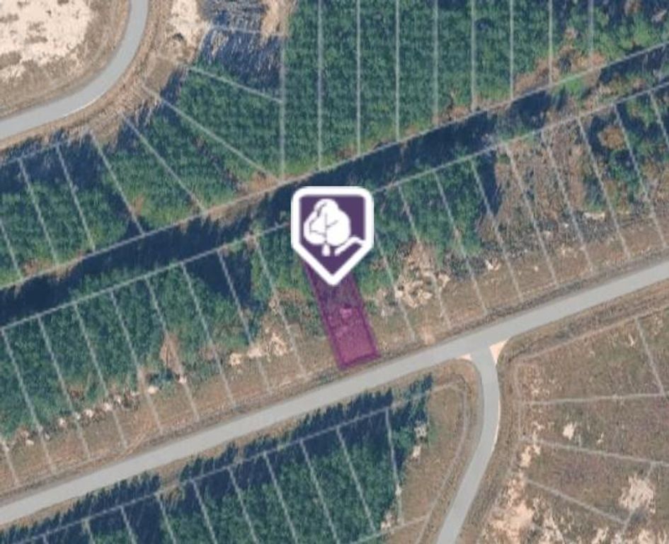 1369 Road 5890, Cleveland, TX 77327