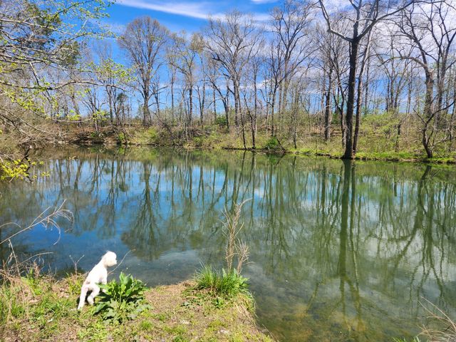 147 Paradise Dr, Mount Juliet, TN 37122