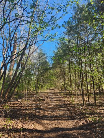 147 Paradise Dr, Mount Juliet, TN 37122