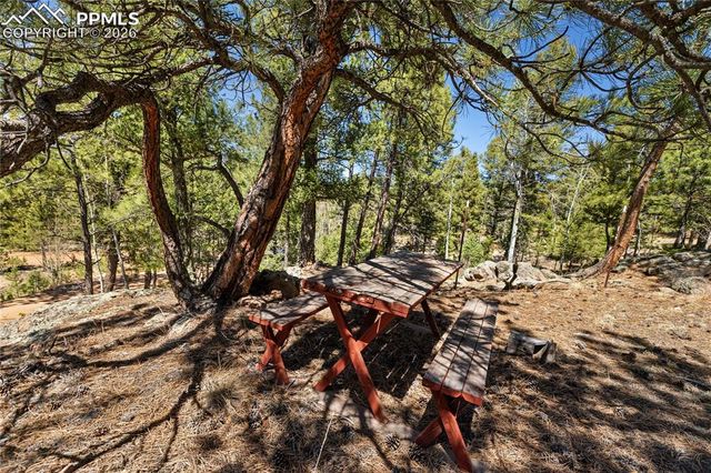 256 Elkhorn Road, Florissant, CO 80816