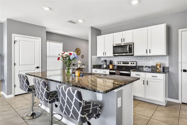 33608 BARBERRY LEAF WAY, Wesley Chapel, FL 33543