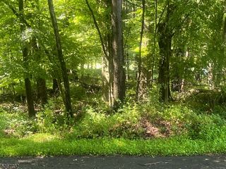 116 North Ct, Montague Twp., NJ 07827