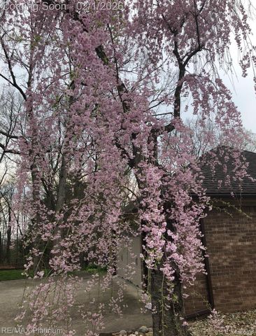 8760 Dann Drive, Brighton Township, MI 48114