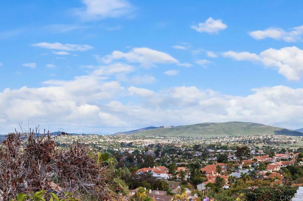 1402 Village View Road, Encinitas, CA 92024