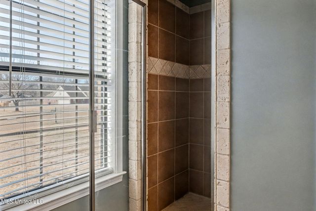 124 E Pebble Creek Cove, Hernando, MS 38632