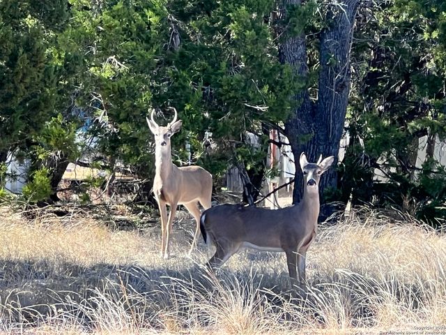 LOT 44 Pr 1508, Bandera, TX 78003