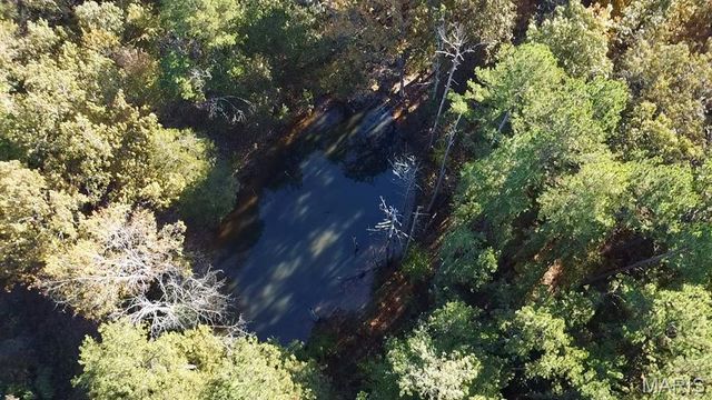 902 Ripley 160E-8, Doniphan, MO 63935