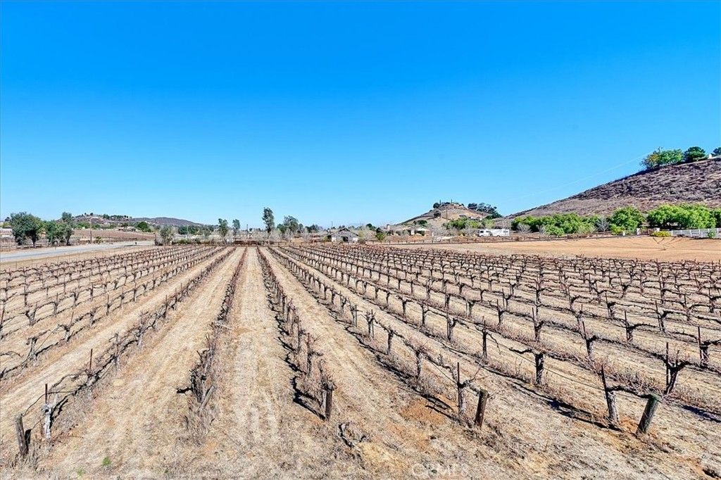 38680 Felicidad, Murrieta, CA 92562 — photo 2